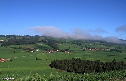ירוק בגרמניה