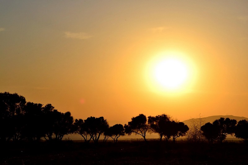 צילום: דרור מנחם