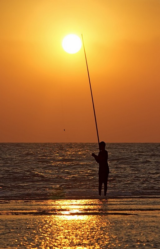 לדוג את השמש