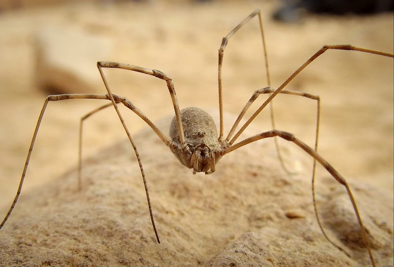 מי זה מצלם אותי?