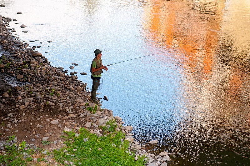 דייג הצבעים