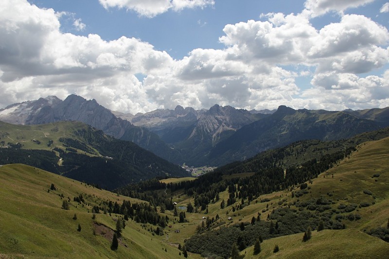 צילום: יועד שרי