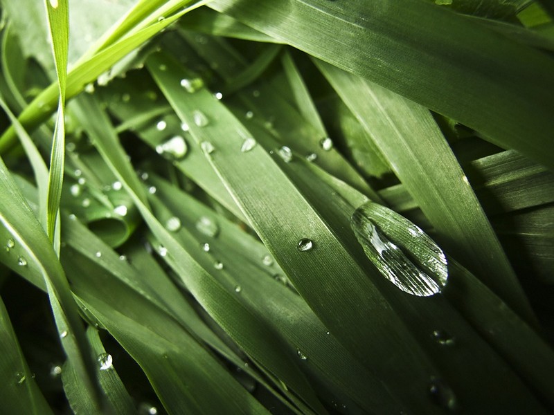 מגלשת טיפות