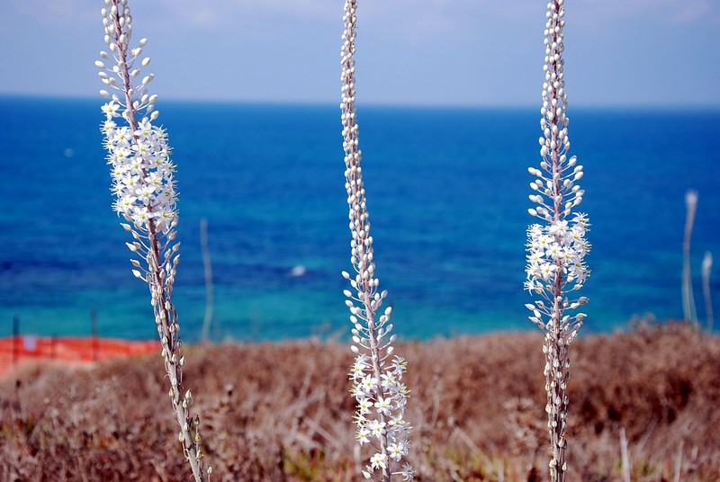 הסתו כבר פה