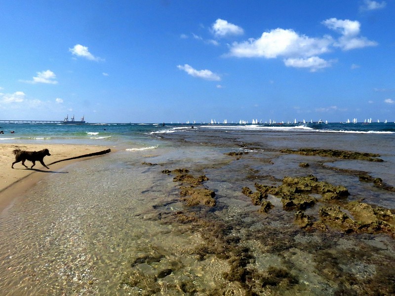 לובן ענן ומפרש