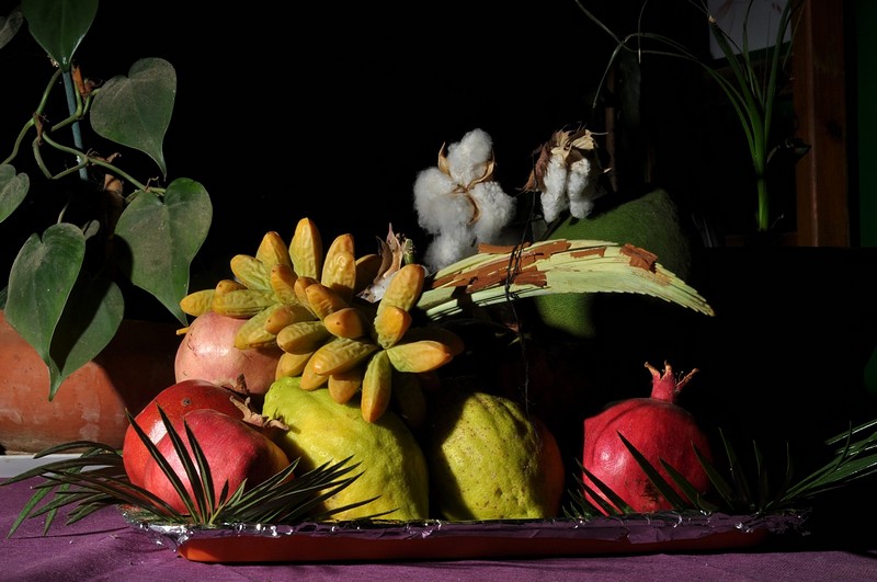 חג סוכות שמח