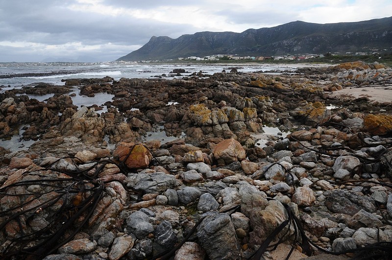 גדות האוקינוס