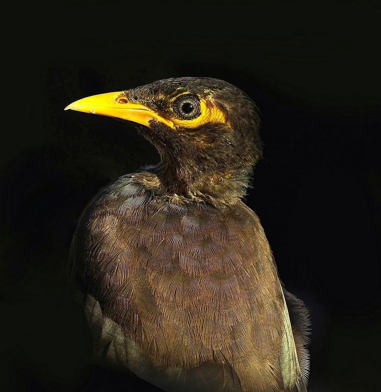 התקלות לא  צפויה