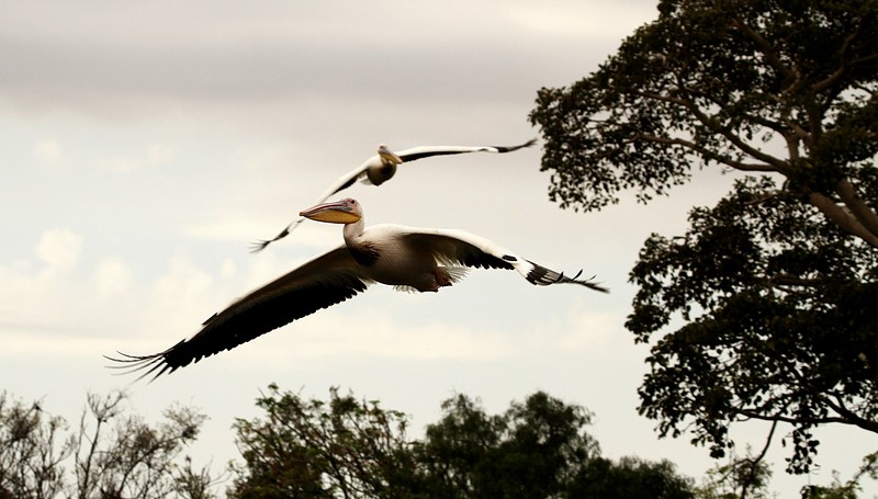 מסלול 27 פנוי לנחיתה