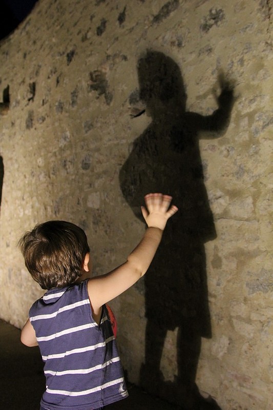 צילום: אביטל חייט