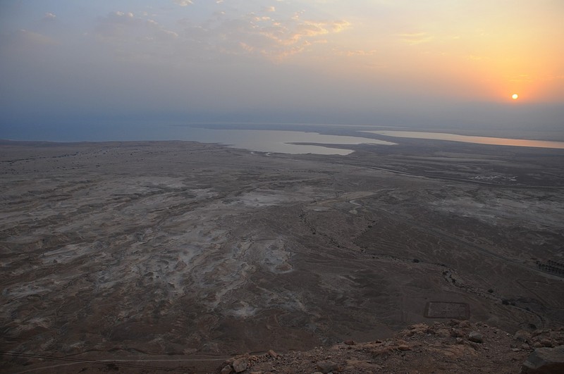 עולה מן המדבר