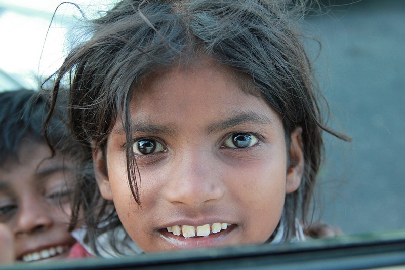 צילום: ניר דיין