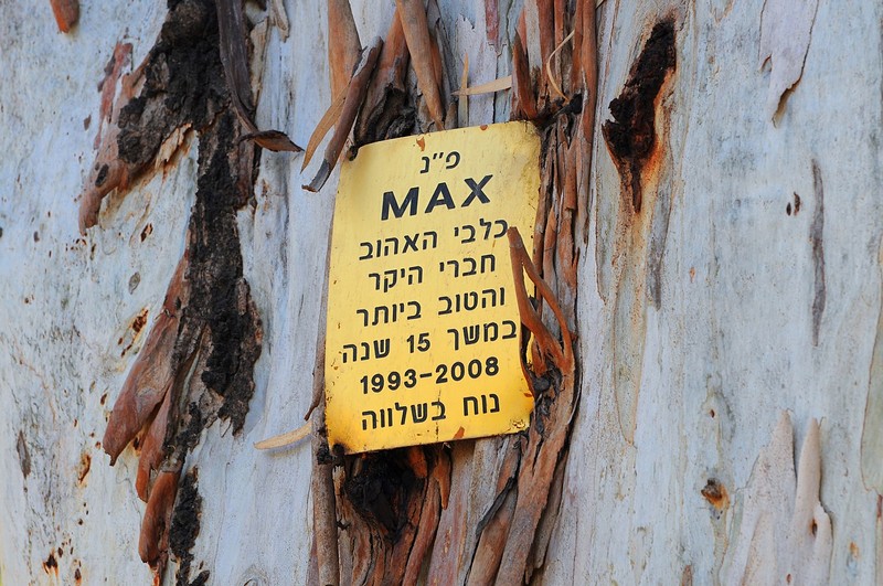 תברו הטוב של האדם.