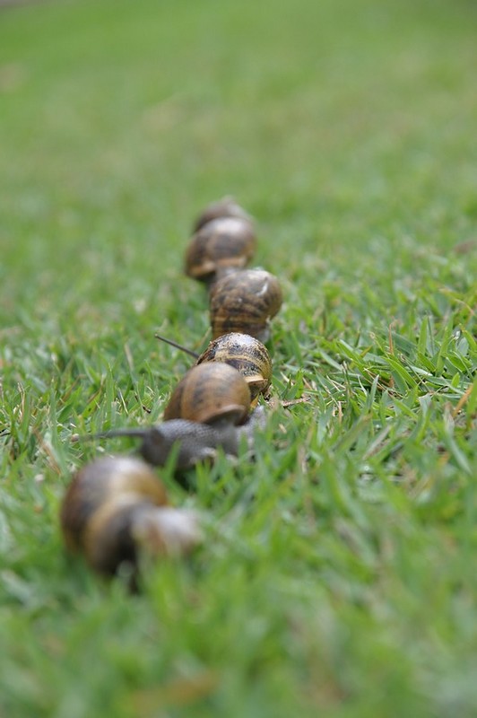 צילום: יניב  מועלם
