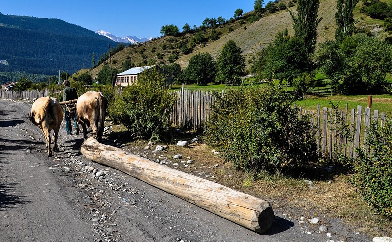 שירותי הובלה בקווקז