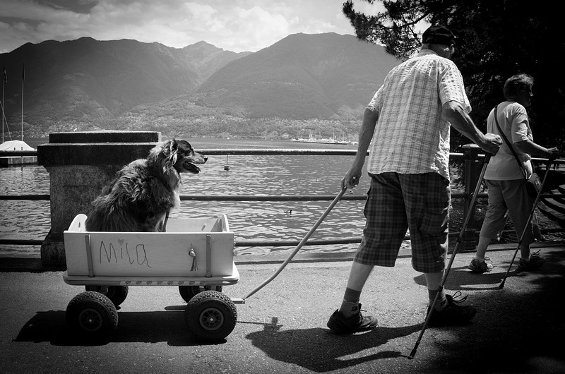 תשליכיני לעת זקנה