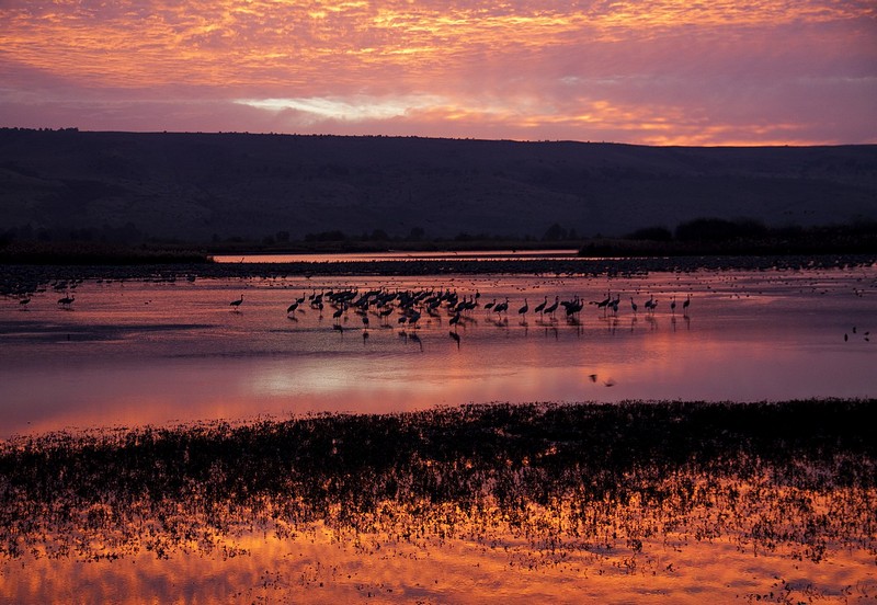 זריחה באגמון החולה
