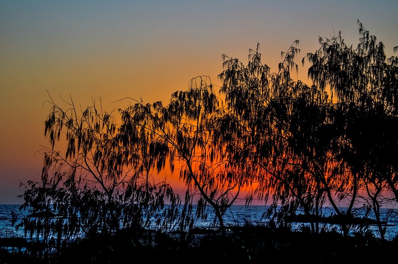 צילום: עמוס גינוסר