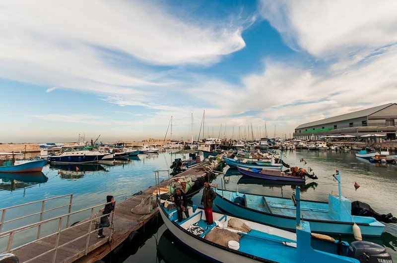 צילום: דובי שמחי