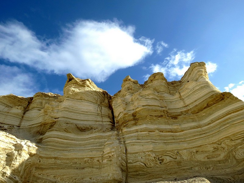 צילום: גילה אולייר