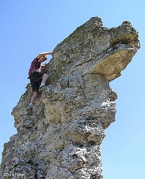 בין שמים לארץ
