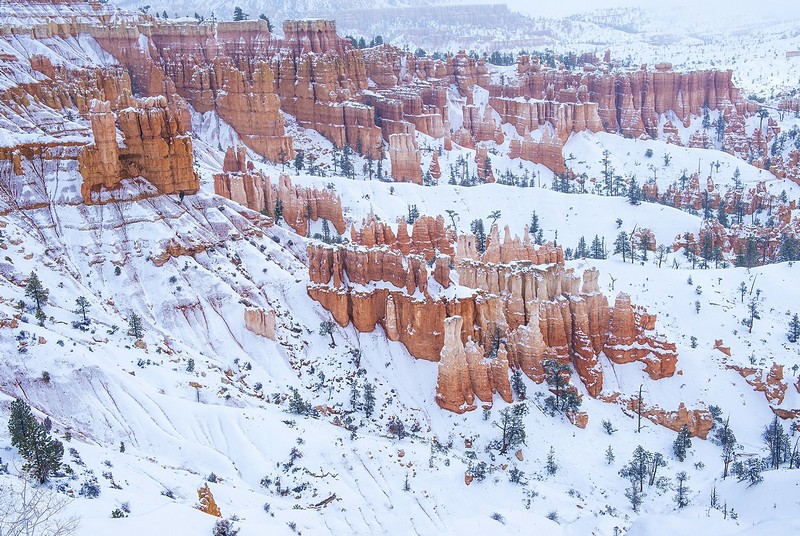 ברייס קניון