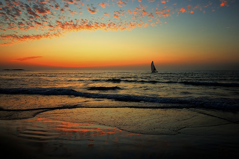 מפרשית בשקיעה