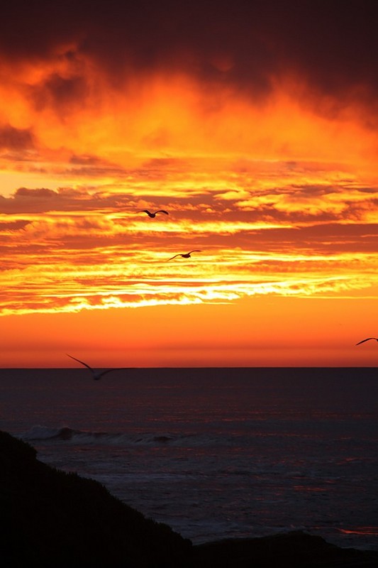 צילום: עמית יונגרמן