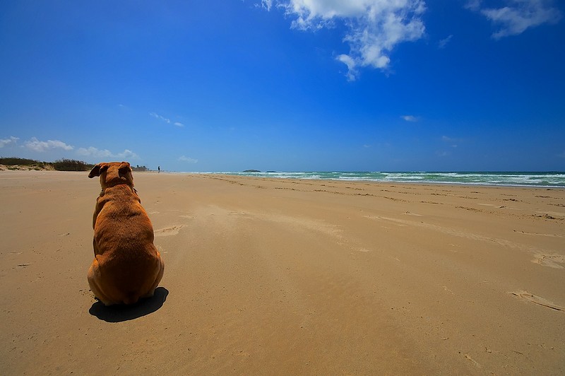 החוף הפרטי שלו