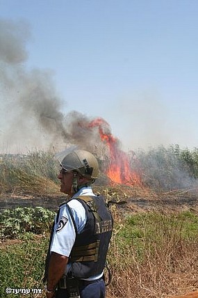 צילום: צחי עמיעד