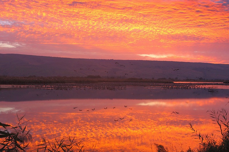 השתקפות בוקר באגם.