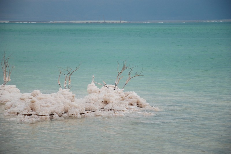 נסיון צמח לצמוח