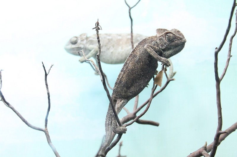 צילום: טוהר רבין