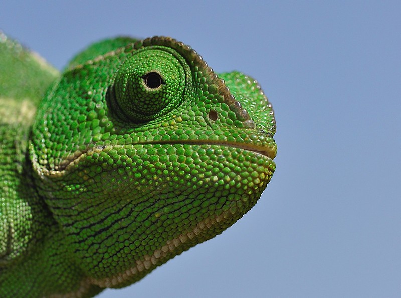 אני רואה אותך , תתלבש