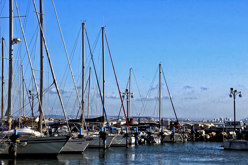 בנמל הדייגים בעכו