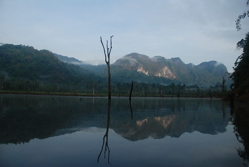 צילום: יובל שמשי