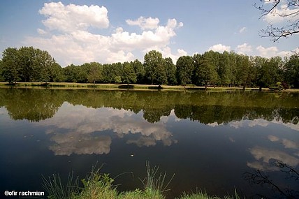 between water and sky