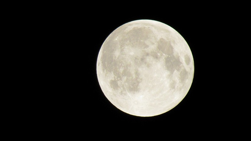 צילום: עדי כהן