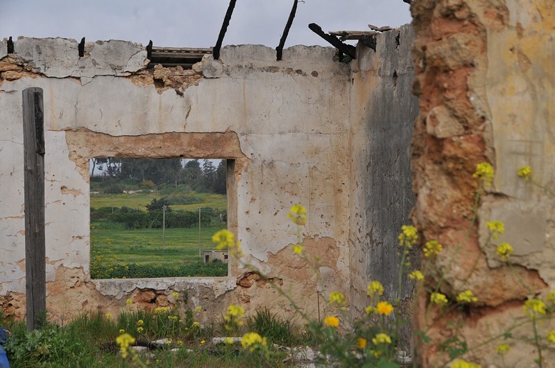 תמונה בתוך תמונה