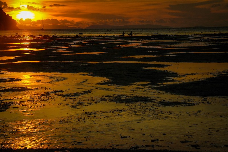 צילום: כריסטינה הורבט