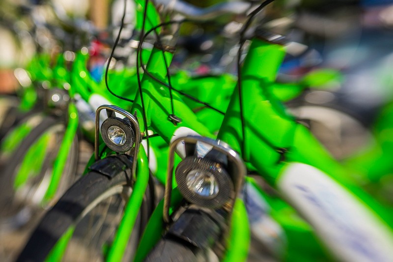 תנועה ירוקה