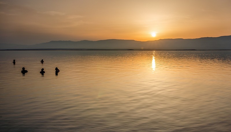 צילום: מיכה פרבר