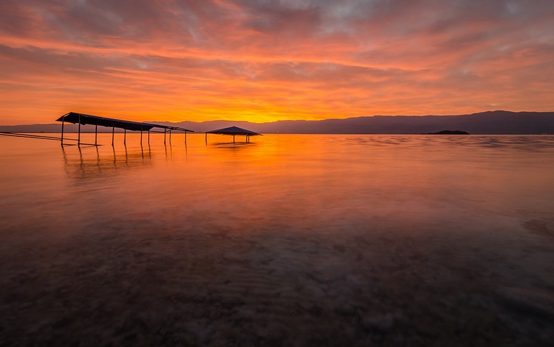 צילום: מיכה פרבר