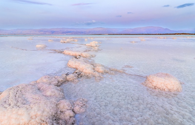 צילום: מיכה פרבר