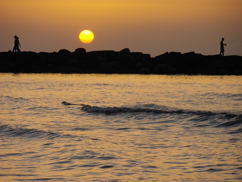 צילום: איריס ירדני