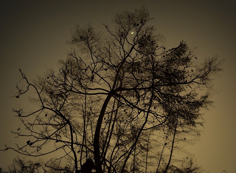 במרחק נגיעה מהירח