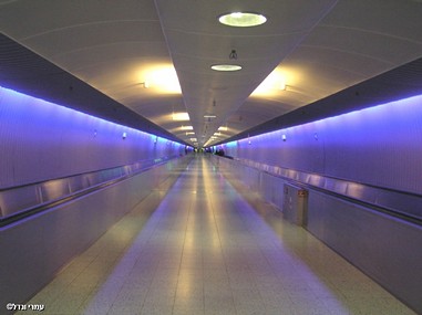 בחזרה לעתיד