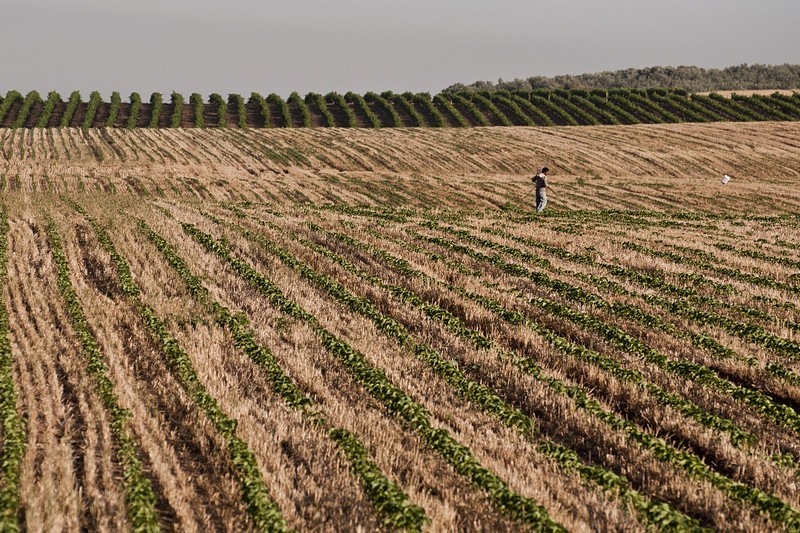 הזורעים בדמעה