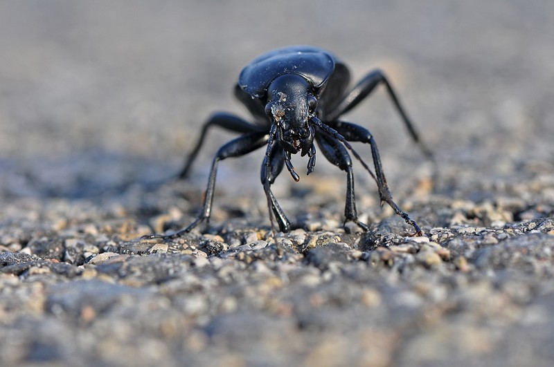 עניין של זוית