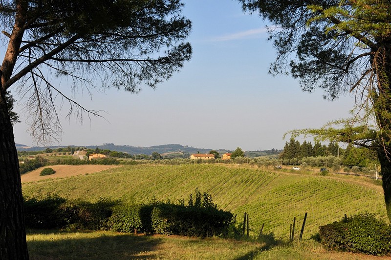קיאנטי מכאן בא